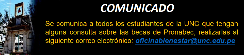 CONSULTA SOBRE BECAS PRONABEC